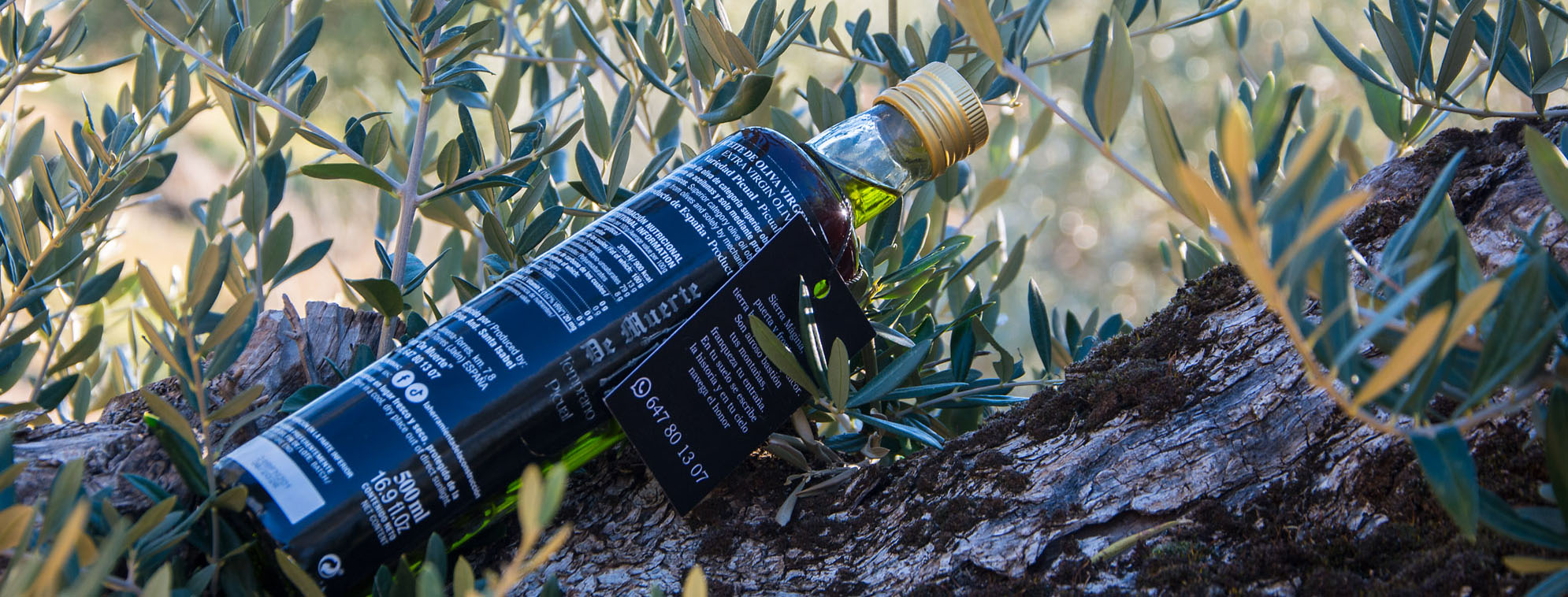 aceite-de-muerte-picual-temprano-5